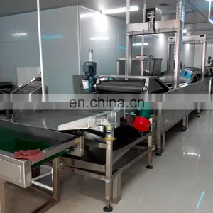 Hot Sale Automatic Potato French Fries Production Line Potato Chips Machine Line thumbnail-5