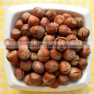 High Quality Hazelnut With Cheap Price for Export thumbnail-1