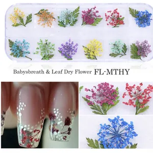 Dried Flower Nail Design Mixed Style Dry Flower For Diy Nails Design thumbnail-3