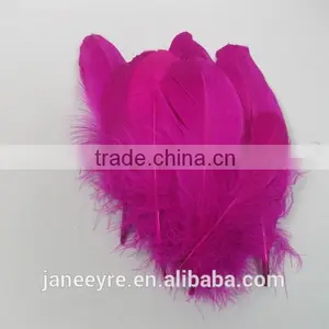 Wholesale Colorful Rooster Feather FH5014 thumbnail-4