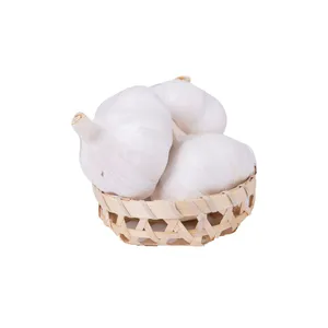 Fresh Garlic Fresh Vegetables thumbnail-1