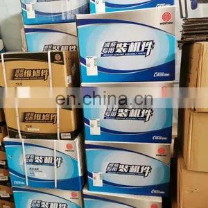 Original and New WEICAHI WD10G220E23 Engine Parts thumbnail-5