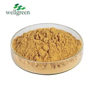 High Quality 100% Natural Supply Noni Fruit Extract Noni Fruit Enzyme Powder thumbnail-2