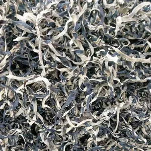 Dried Black Fungus thumbnail-1