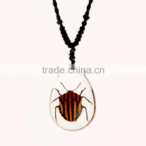 New Wholesale Fashion Lovely Necklace With Real Insect thumbnail-5