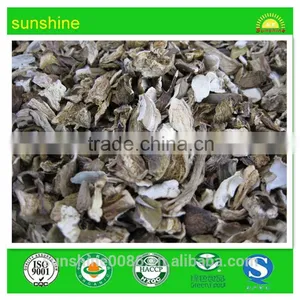 ISO ,HACCP Orgnic Porcini Mushroom thumbnail-1