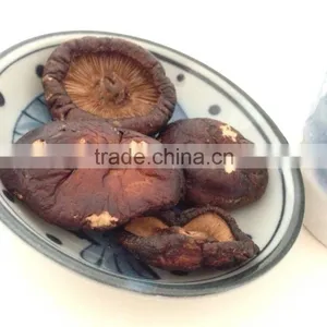 Crispy Shitake Fried Veggie Snack (Vacuum Fried Vegetable) thumbnail-2