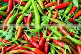Organic Fresh Bird Chilli Red & Green thumbnail-1