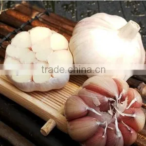 2016 NEW CROP GARLIC thumbnail-6