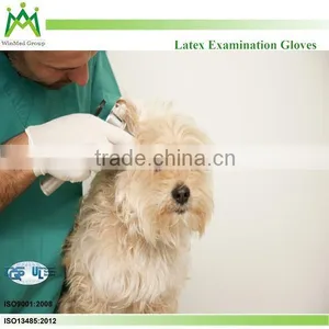 Disposable Exam Glove thumbnail-2