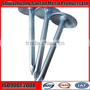 Umbrella Head Galvanized Ring Shank Roofing Nail thumbnail-1
