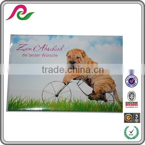 Cartoon Dog Photo Printed Lovely Music Postcards thumbnail-1