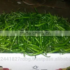 Indian Fresh Long,dark Green and Spicy Green Chilli Exporter thumbnail-1