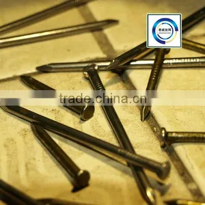 Polished Galvanized Common Wire Nails Factory thumbnail-1