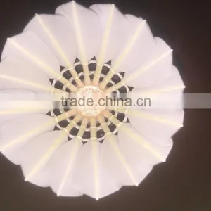 Class A Natural Goose Feather OEM Badminton Tournament Shuttlecock thumbnail-3
