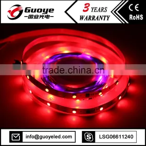 Popular Offer Programmable Led Strip With 5m 300leds Dream Color Led Strip thumbnail-3