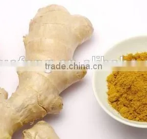 Dried Ginger Export Prices/spices Benefits of Ginger Powder thumbnail-1