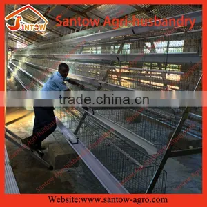 Automatic Poultry Equipments Egg Layer Chicken Battery Cage thumbnail-1