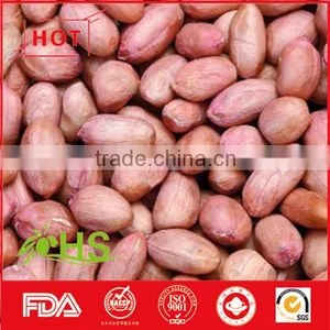 Round/long Size Red Skin Peanut Kernel thumbnail-4