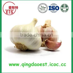 Jining White Garlic in Mesh Bag or Carton to Singapore thumbnail-3