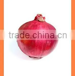 Chinese Export Best Quality Products Fresh Red Yellow Onion thumbnail-3