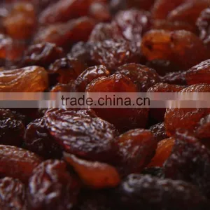 Xinjiang Raisins Sultana Raisins 2015 New Crop thumbnail-2