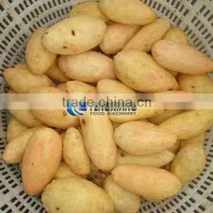 Commercial Potato Ginger Washer and Peeler Turnip Ginger Melon Fruit Ginger Washing and Peeling Machine thumbnail-6