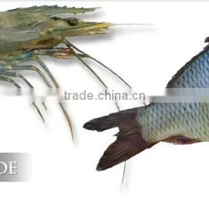 Factory Offer Soya Lecithin Shrimp and Fish Feed Additives thumbnail-6