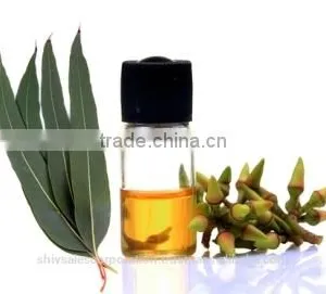 Pure Eucalyptus Oil for Wholesale thumbnail-6