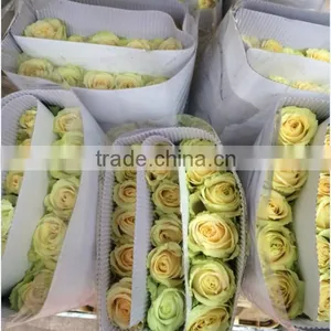 2016 Kunming Fresh Cut Flowers Fresh Cut Roses Wholesale Price thumbnail-1