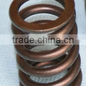 Auto Valve Spring thumbnail-1