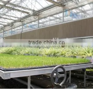 Young Plant Nursery thumbnail-1