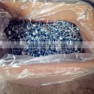Hot-selling Polished Common Nails / Roofing Nails / Flat Head Nails thumbnail-2