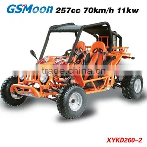Powerfull 250cc go Kart With C.V.T System thumbnail-2