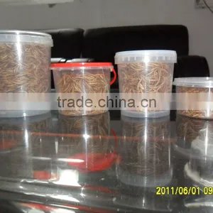 High Protein Poultry Treat Dried Mealworm thumbnail-4