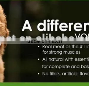 Healthy Benefit Dry Dog Food thumbnail-3