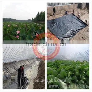 High Breaking Strength Geomembrane thumbnail-3