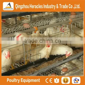 China Trade Assurance Chicken Bird Cage for Sale thumbnail-3