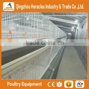 China Factory Price Trade Assurance Chicken Poultry Farm Equipment Layer Cage thumbnail-1