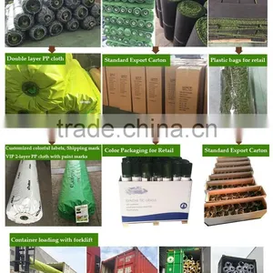 Luxurious Soft Artificial Grass Garden With Good Drainage System thumbnail-3