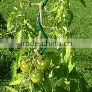 Iron Tomato Spiral for Plant Support thumbnail-6