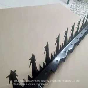 Wall Guard Against Theft Stainless Steel Spike thumbnail-2