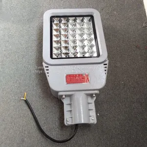 HRD9 Maintenance-free Explosion-proof LED Road Lamp High Efficiency Explosion-proof Street Lamp Pole thumbnail-1
