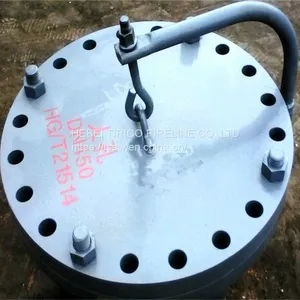 Essex Flange Rtj Flange For Gas Exhaust thumbnail-3