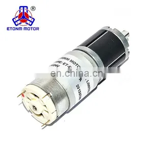Long Life 12 V/24 V DC Min DC Gear Motor thumbnail-4