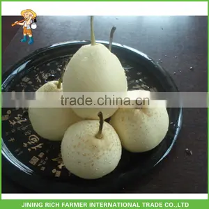 Wholesale Delicious Pear Honey Pear Ya Pear From China thumbnail-1