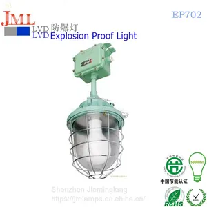 Outdoor Waterproof Explosion-proof Lights 30W 50W Anti-explosion Lamp 80W 60W Safety Lamp 100W 120W 135W thumbnail-2