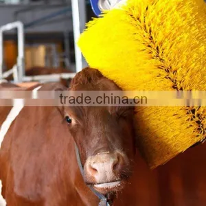 Cow Brush Roller for Cleaning Cattle With Factory Price and High Quality thumbnail-1