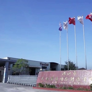 Tianjiao Household Manufacturing Ltd. company overview - view 1 thumbnail