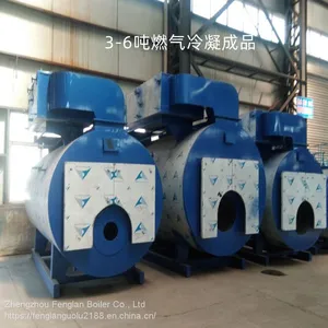 Gas Steam Boiler That Produces 50 Tons of Steam per Hour and Supplies Russian Gas Steam Boiler thumbnail-3